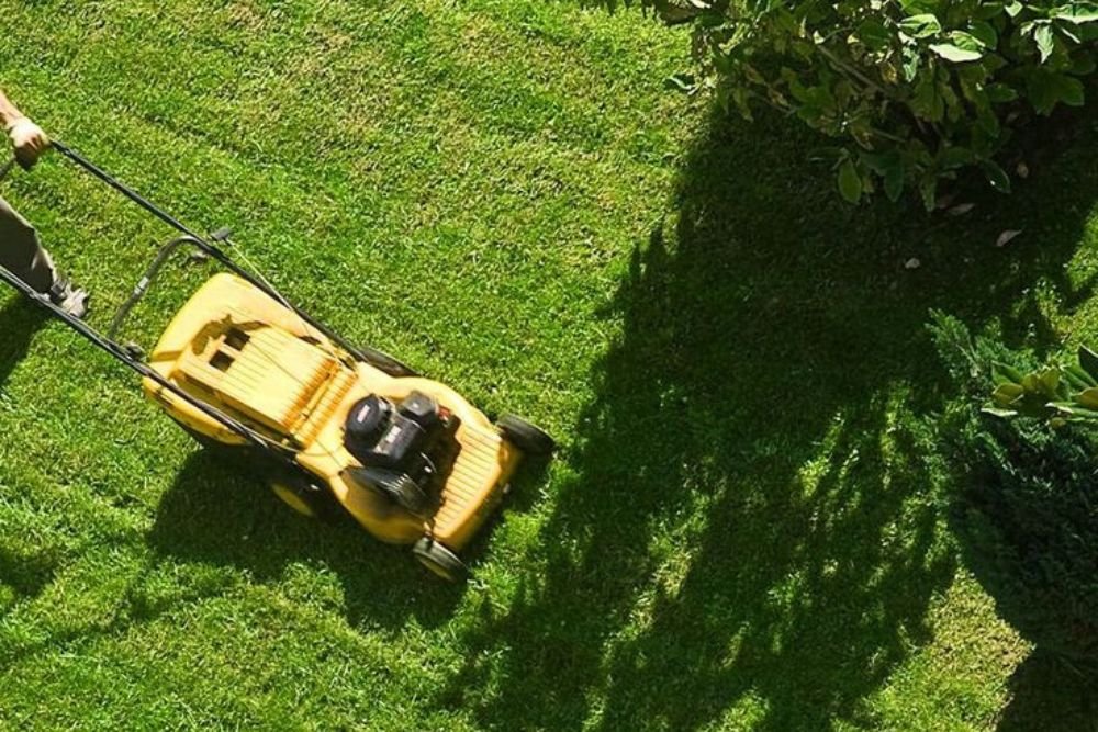A man using a lawn mower to cut grass in a well-maintained yard on a sunny day.