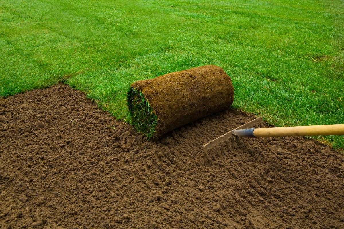DIY vs. Professional Sod Installation: Which is Right for Your Lawn?