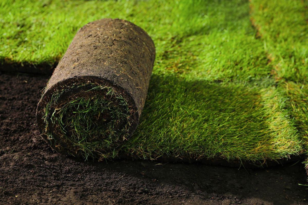 A roll of freshly cut grass resting on the ground, showcasing its vibrant green color and natural texture.