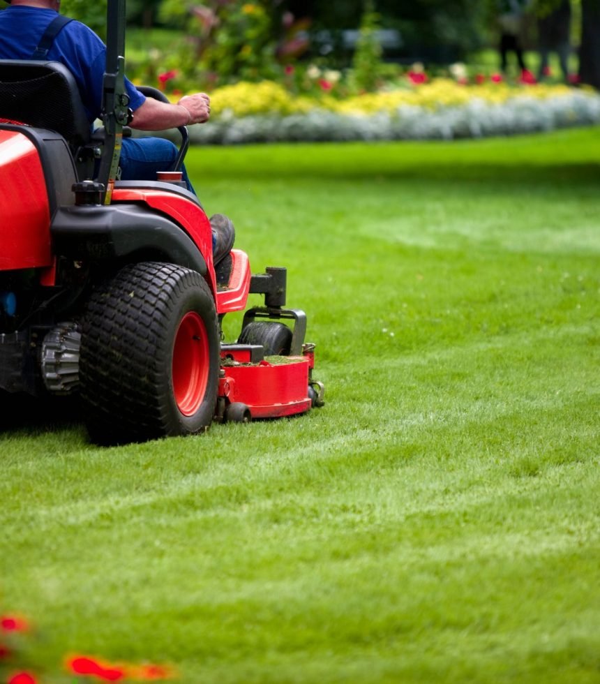 A man mows the lawn using a red lawn mower on a sunny day, surrounded by green grass and trees in the background.