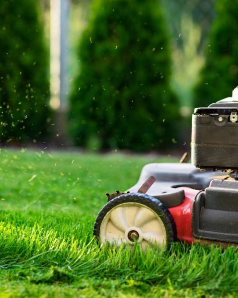 A lawn mower rests on a patch of green grass, ready for use in maintaining the lawn.